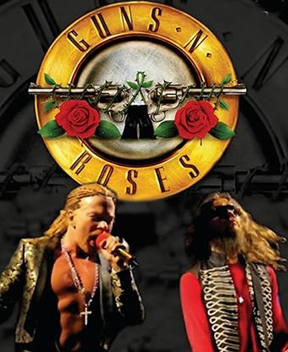 Guns n Roses live india